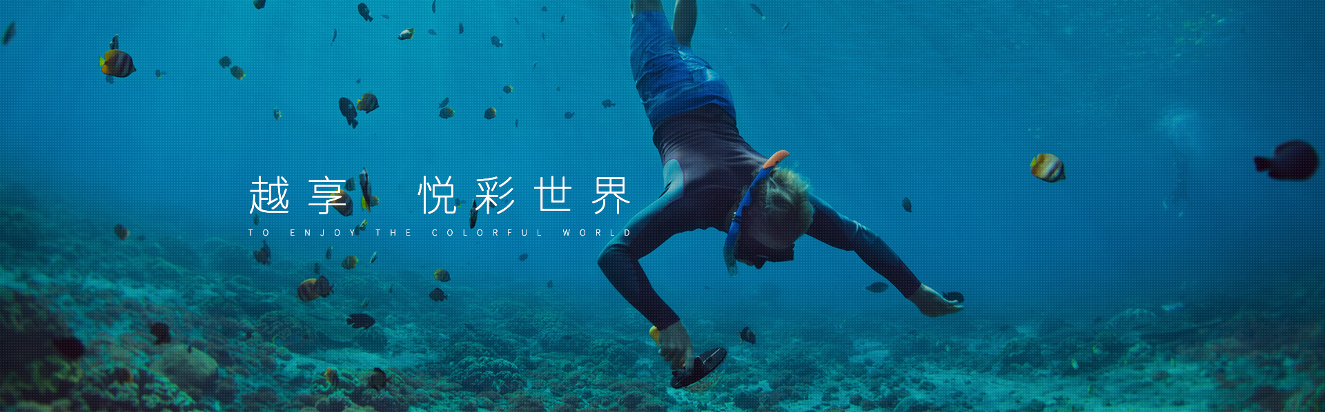 一码中内部资料联系方式