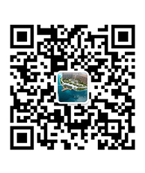 一码中内部资料联系方式